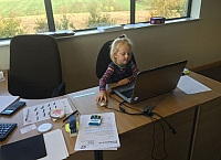 Millie work experience design