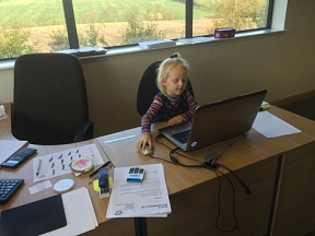 Millie work experience design