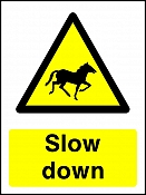 Slow Horses