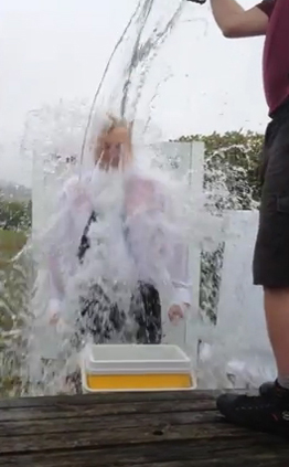 HFE Ice Bucket HFE Ice Bucket