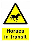 Horses in Transit