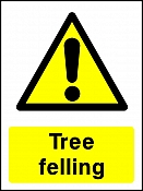 Tree Felling