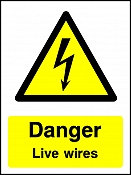 Danger Live Wires Portrait