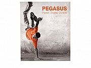 Pegasus Print