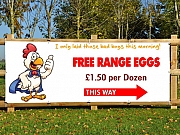 Free Range Eggs Banners