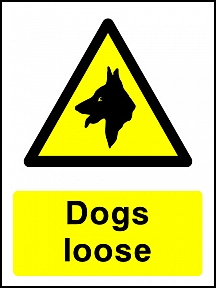 Dogs Loose