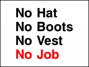 No Job