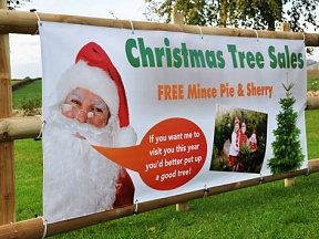 Christmas Tree Sales Banners