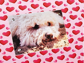 Photo Frames Photo Frames