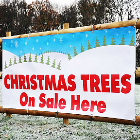 Sell Christmas Trees Banners Sell Christmas Trees Banners