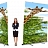 Giant Roll up Banners 3M Tall