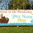Christening Banners