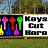 Keys Cut Banners