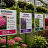 Garden centre plant identification signs printed on Correx®