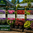 Garden centre Foamex plant identification and price signs