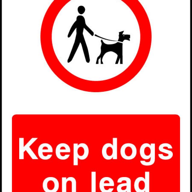 Dogs must keep on a lead. Dogs leads signs. You must keep Dogs on a lead картинка для детей. Keep a Dog. Как перевести keep Dogs on leads.